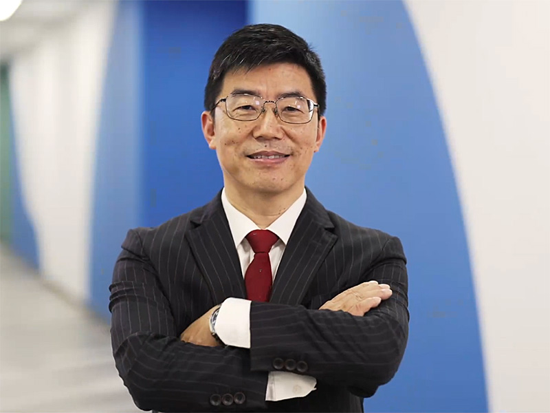 Professor Limin Zhang